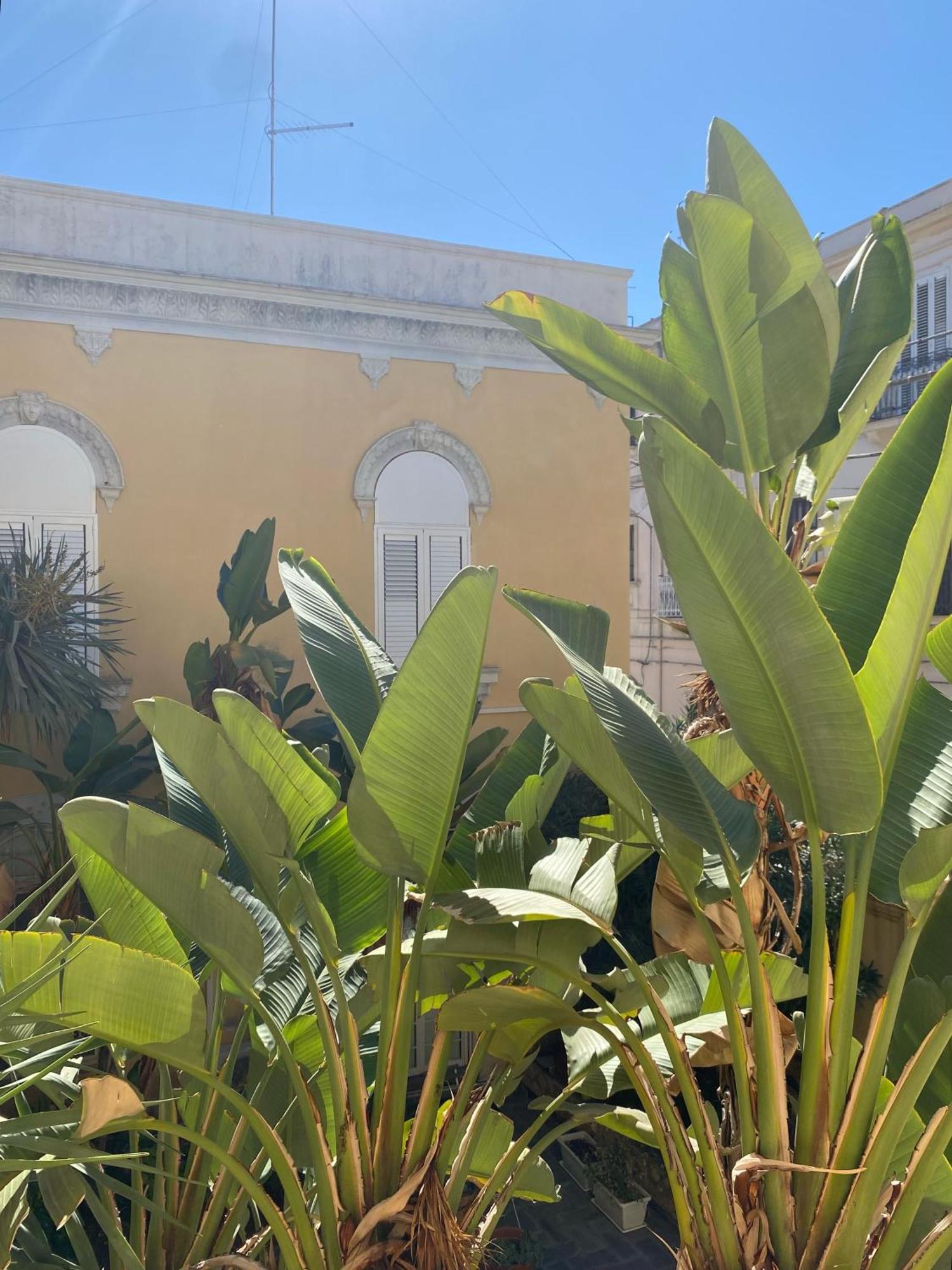 Residenza Vittorini Appartamento